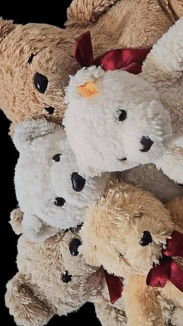 The story behind BearBei